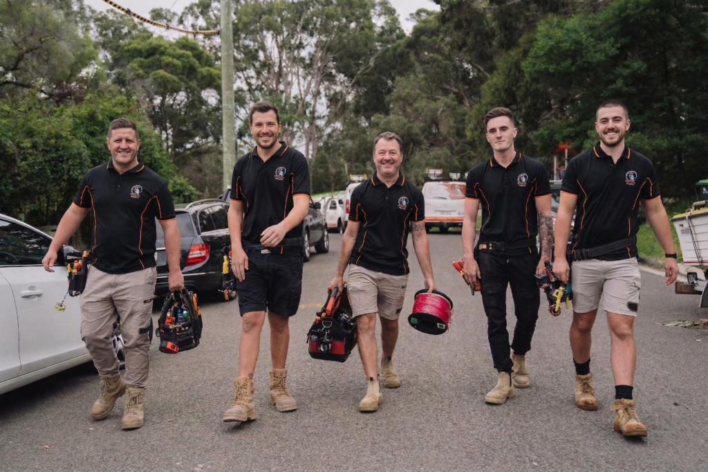 Professional electrical services in Bellevue Hill